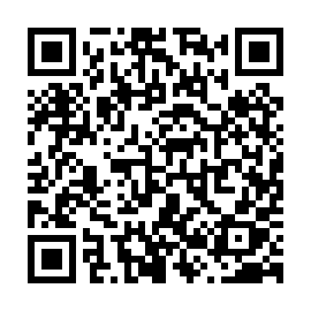 QR code for V210PX