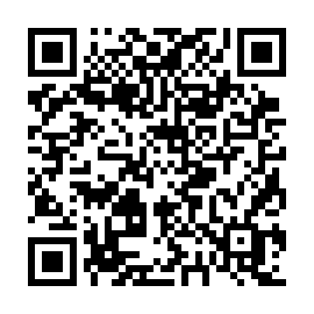 QR code for V233DF