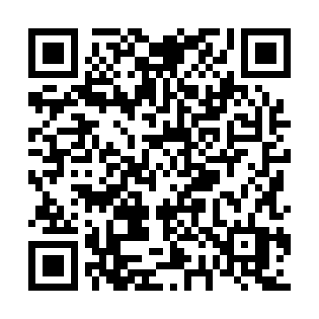 QR code for V2818T
