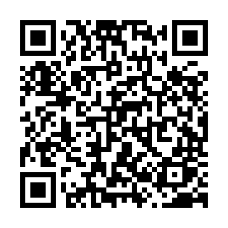 QR code for V28INP