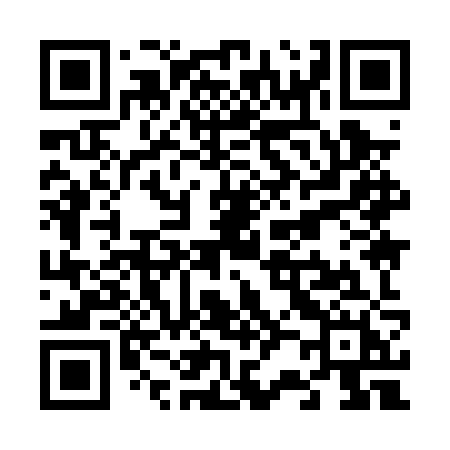 QR code for V290ZH