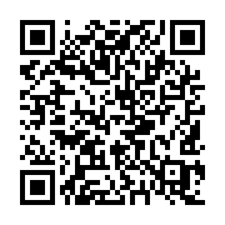 QR code for V291IC
