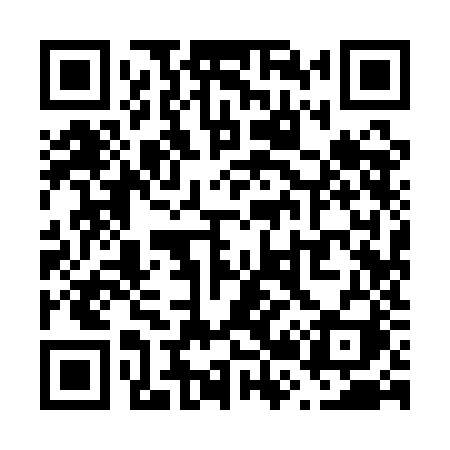 QR code for V291JI