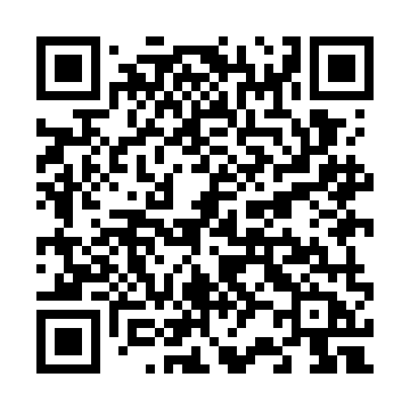 QR code for V29GMB
