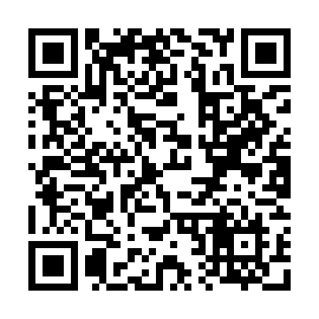 QR code for V29IGN