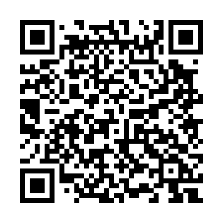 QR code for V3006F