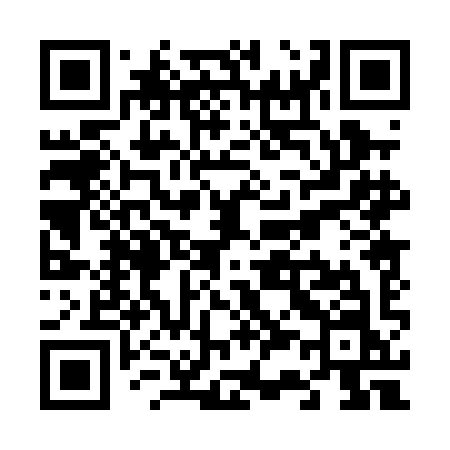 QR code for V300IN