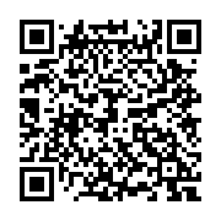 QR code for V300RE