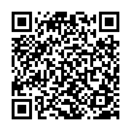 QR code for V313BR