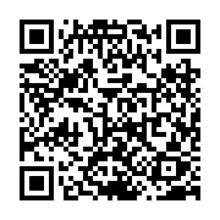 QR code for V313CZ