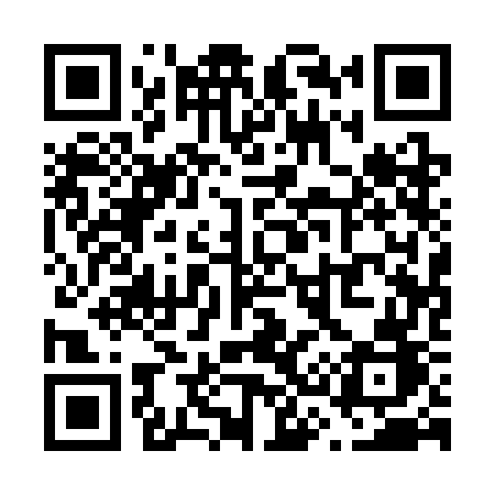 QR code for V313GB