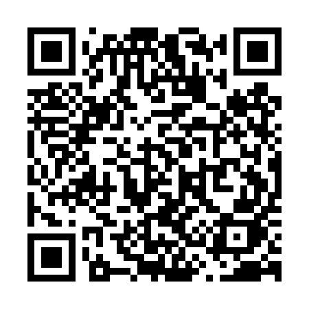 QR code for V31DUJ