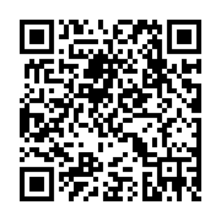 QR code for V329PT