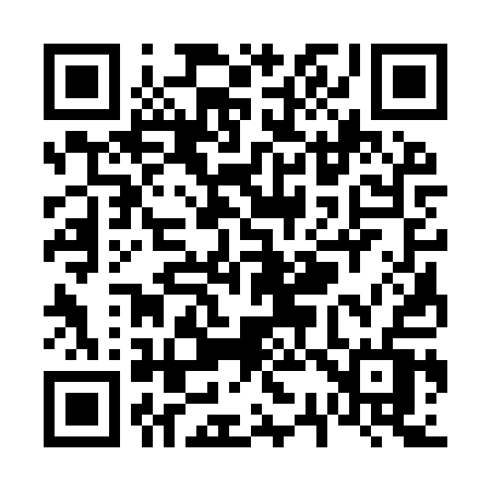 QR code for V339QV