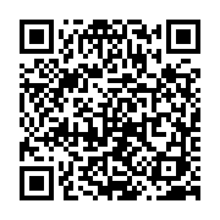 QR code for V339VI