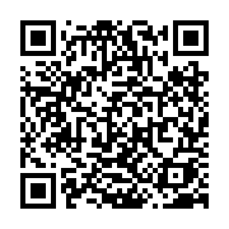 QR code for V373OI