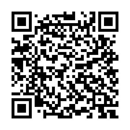 QR code for V375PA