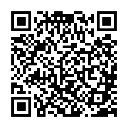 QR code for V385LI
