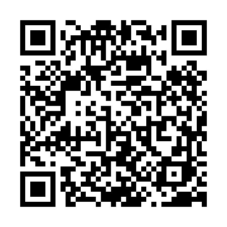 QR code for V390FH