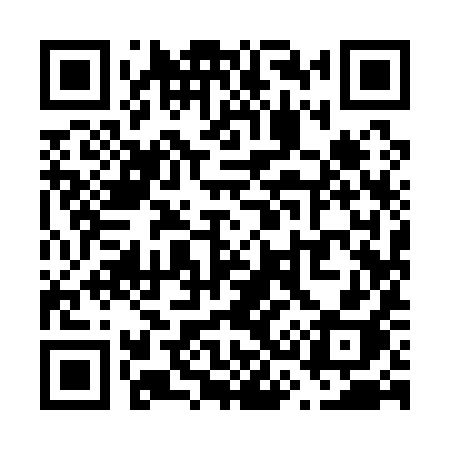 QR code for V3919H