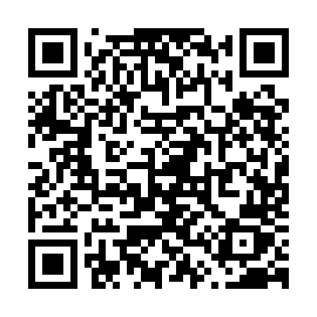 QR code for V411NZ