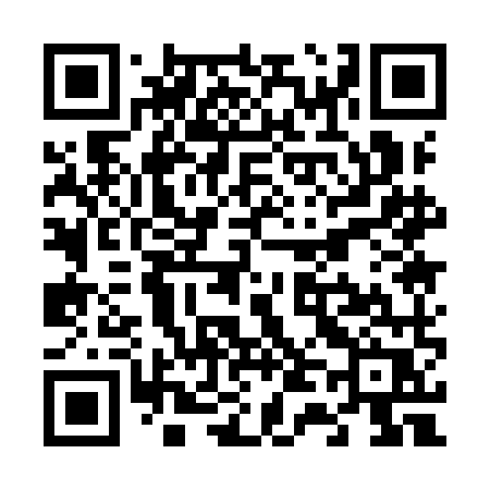 QR code for V419MR