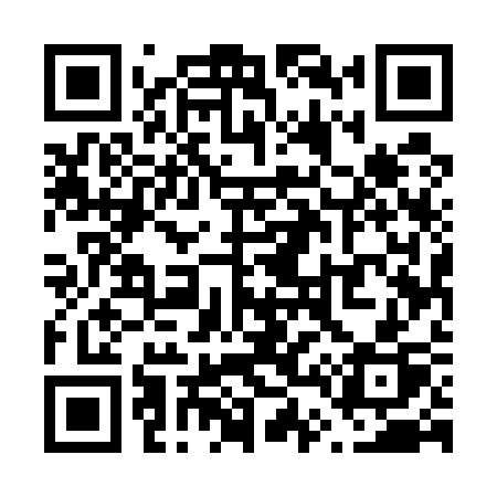 QR code for V4553P