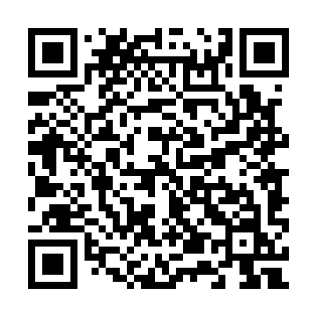 QR code for V5419N