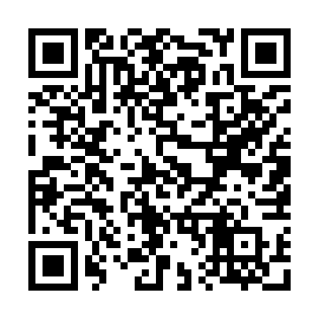QR code for V6596P