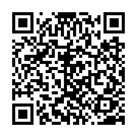 QR code for V66GUZ