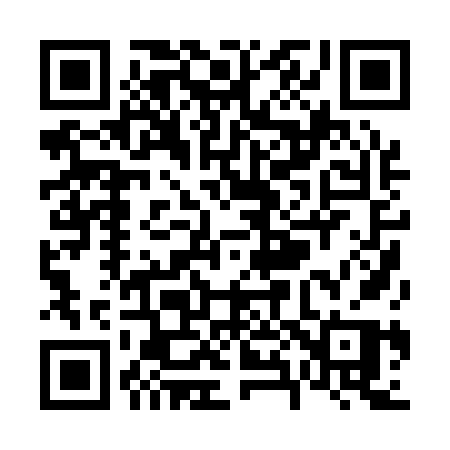 QR code for V8016P