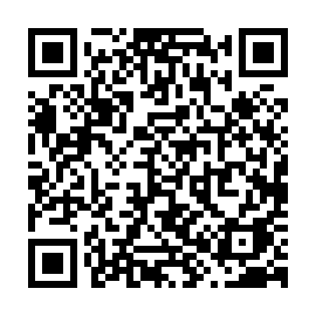 QR code for V8081A