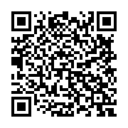 QR code for V8386G