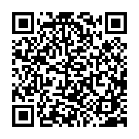 QR code for V9001C