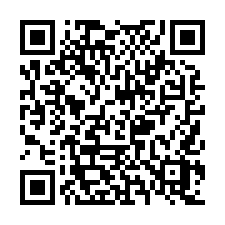 QR code for V9085X