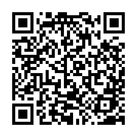 QR code for V919NJ