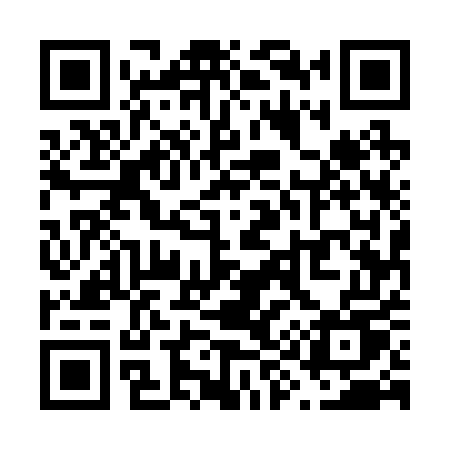 QR code for V9525U