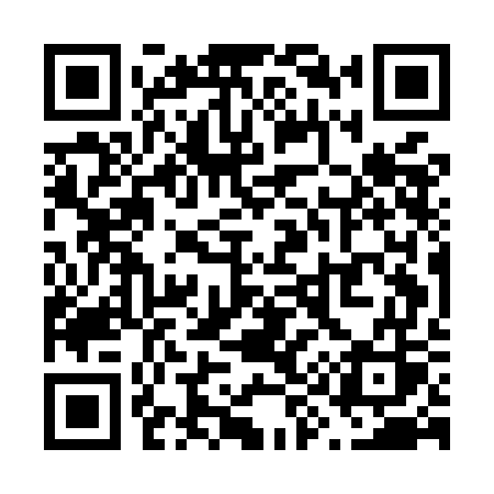 QR code for V95MGS