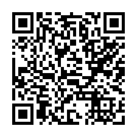 QR code for VDK29A