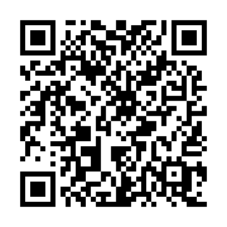 QR code for VDN91G