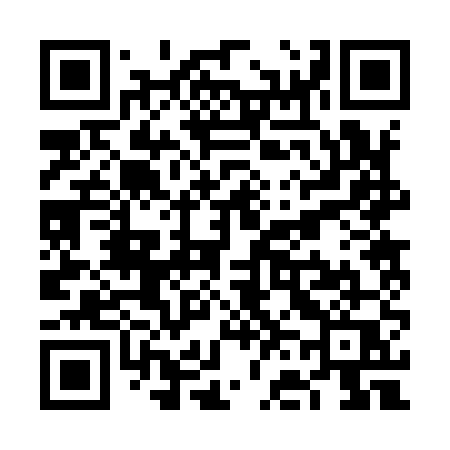 QR code for VF295Q