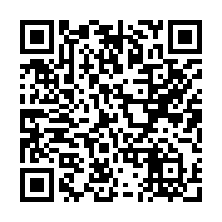 QR code for VG095Y