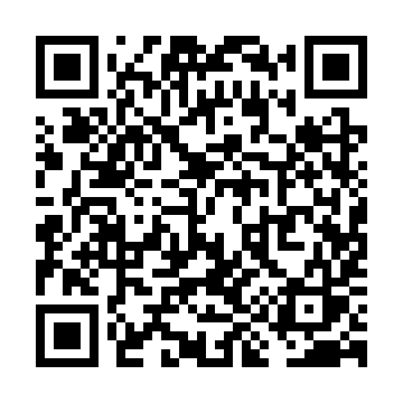 QR code for VI13YS
