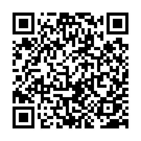 QR code for VI370P
