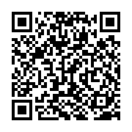 QR code for VIBG21