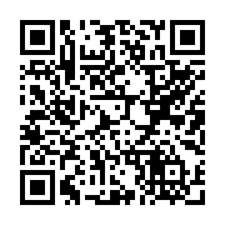 QR code for VJ029T