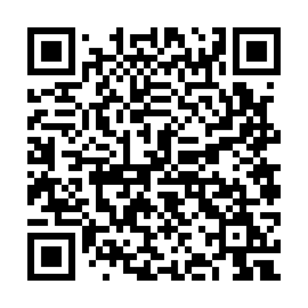 QR code for VJV17M
