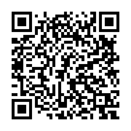QR code for VL383P