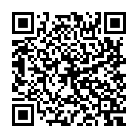 QR code for VLG95V