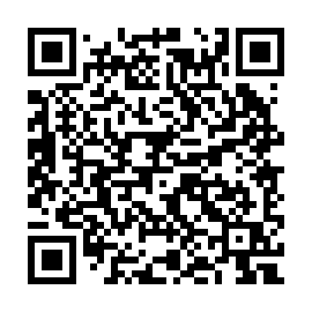 QR code for VN029Q